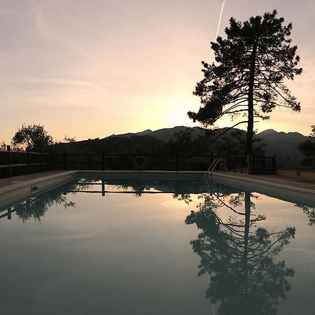 Agriturismo Il Pino San Martino in Freddana Екстер'єр фото