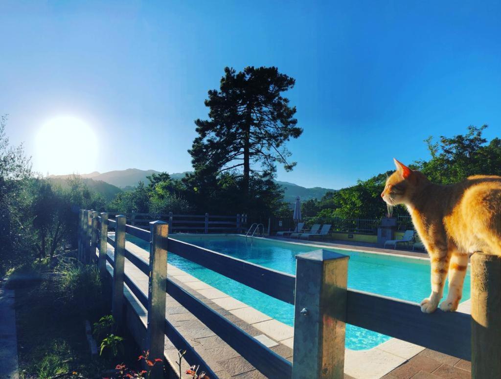 Agriturismo Il Pino San Martino in Freddana Екстер'єр фото