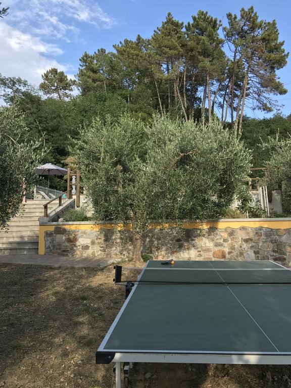 Agriturismo Il Pino San Martino in Freddana Екстер'єр фото
